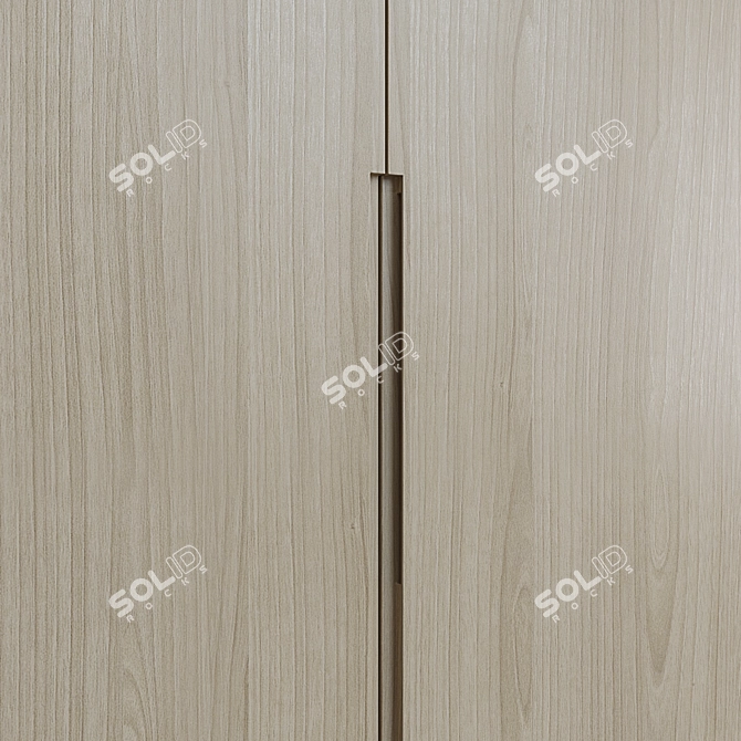 Designer Wardrobe, Perfect for Closet or Bedroom 3D model image 3