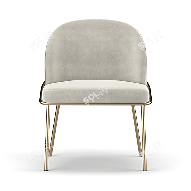 Elegant Janie Dining Chair 3D model image 3