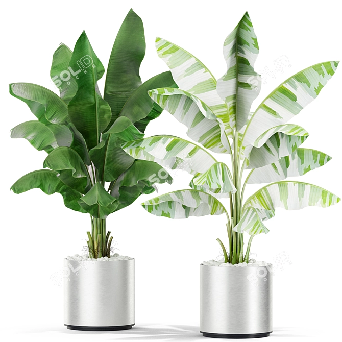 Tropical Oasis: 419 Plants 3D model image 2