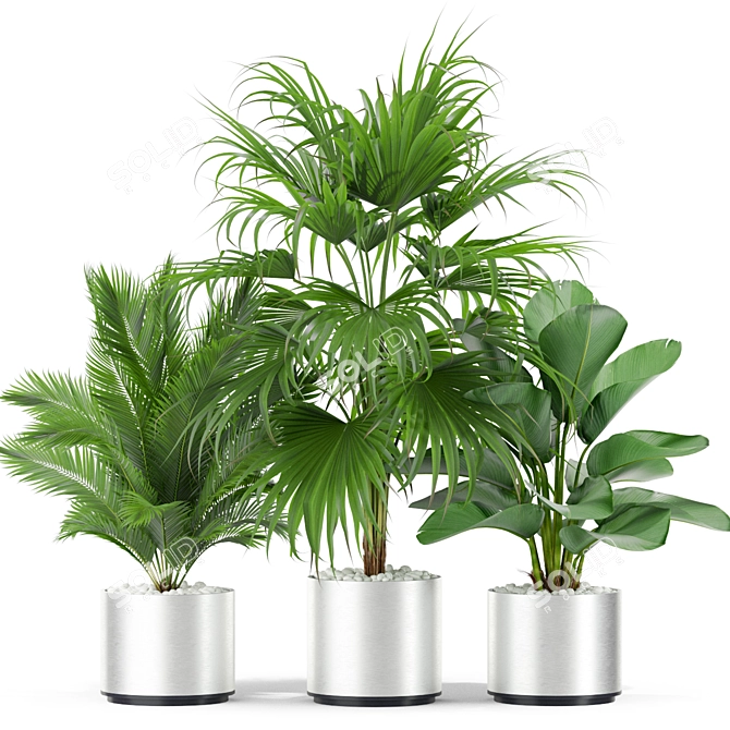 Tropical Oasis: 419 Plants 3D model image 3