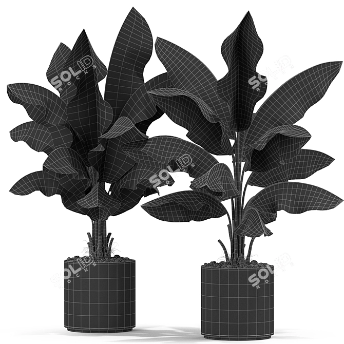 Tropical Oasis: 419 Plants 3D model image 4