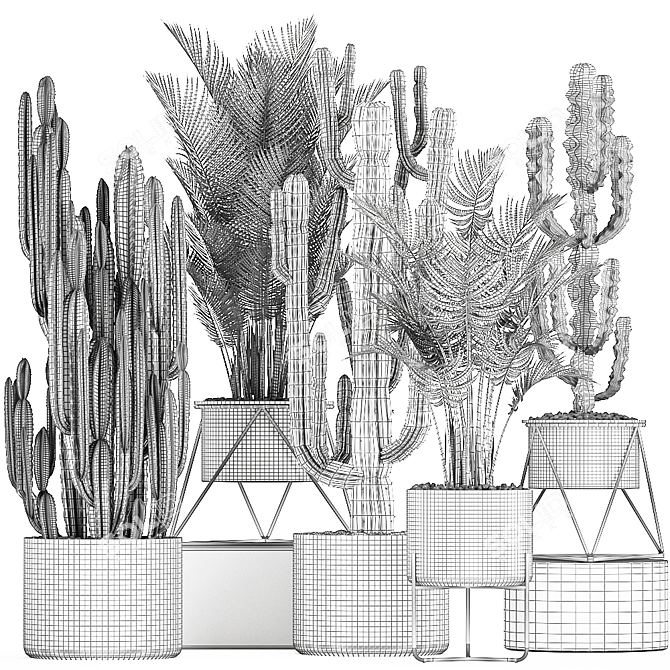 Exotic Plant Collection: Cacti & Palms 3D model image 5