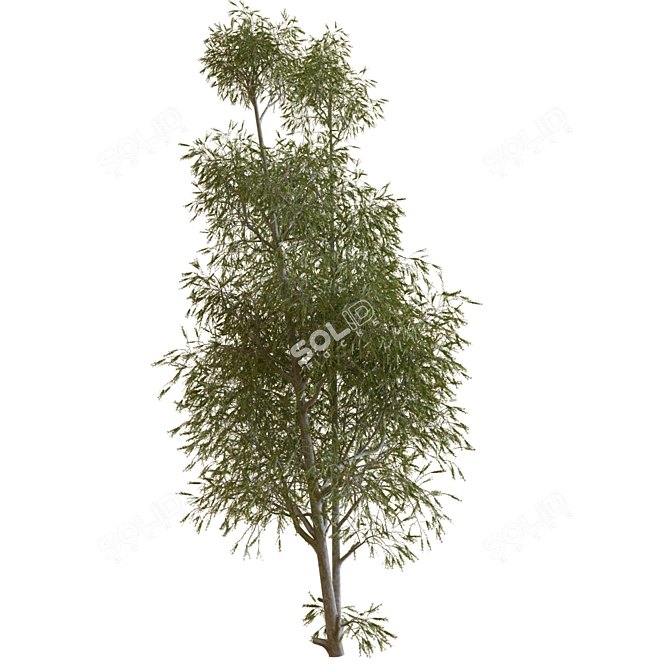 22-Piece Tree Set 3D model image 2