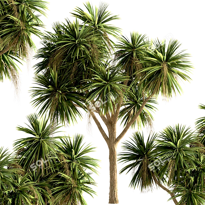 Lush New Zealand Cabbage Tree Trio 3D model image 3