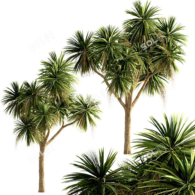 Lush New Zealand Cabbage Tree Trio 3D model image 5