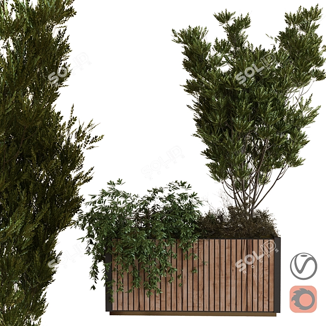 Boxed Set: Tree in Motion 3D model image 1