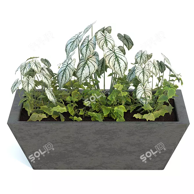 Lush Greenery Combo: Begonia & Philodendron 3D model image 1