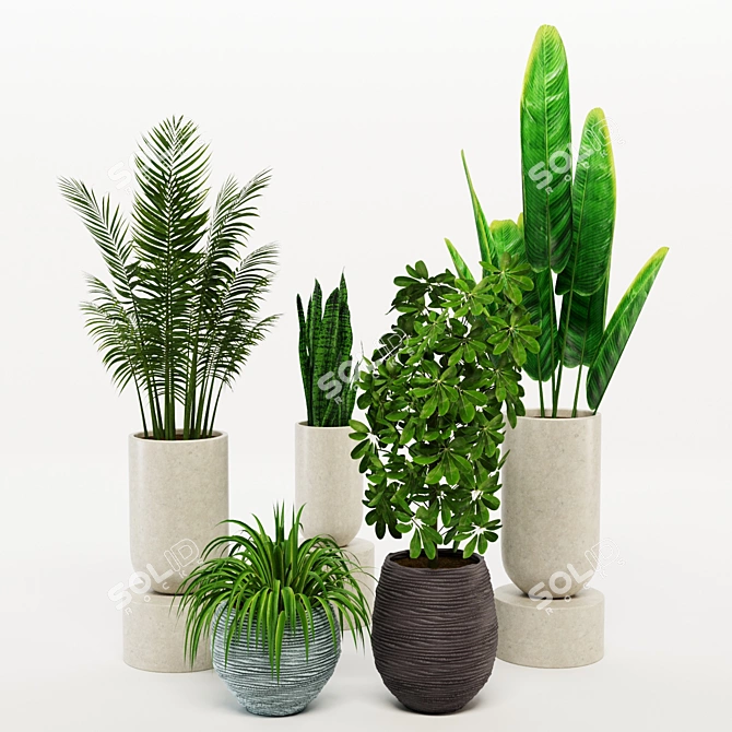 Green Paradise: Assorted Decorative Indoor Plants 3D model image 1