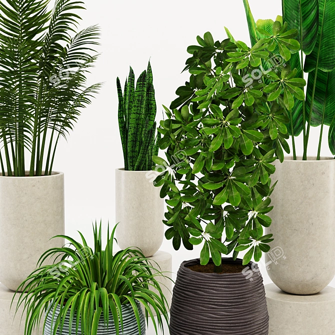 Green Paradise: Assorted Decorative Indoor Plants 3D model image 2