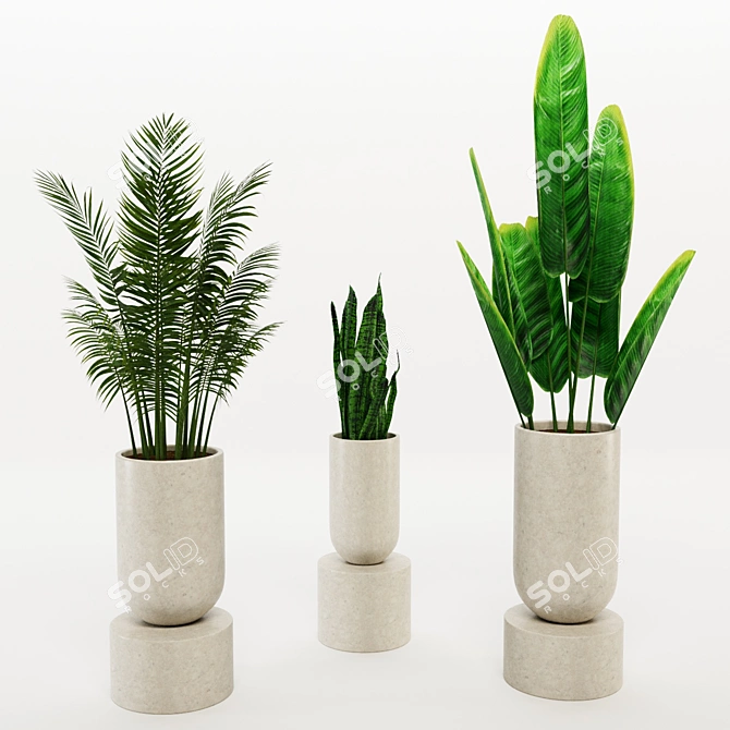 Green Paradise: Assorted Decorative Indoor Plants 3D model image 4