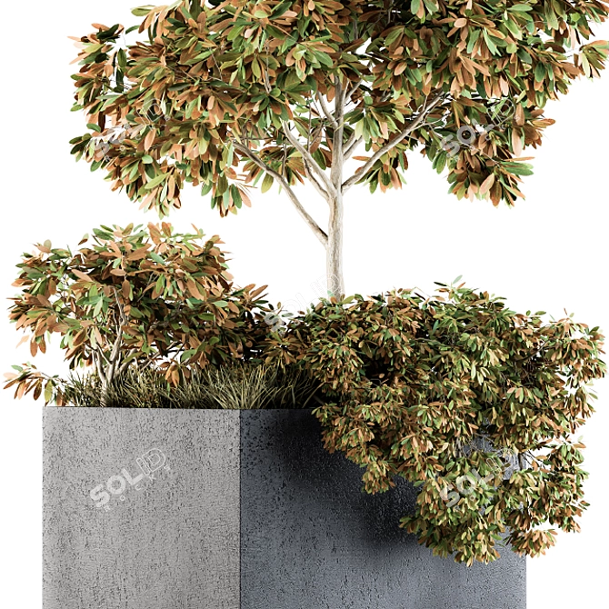 Concrete Box 98: Outdoor Plants 3D model image 2