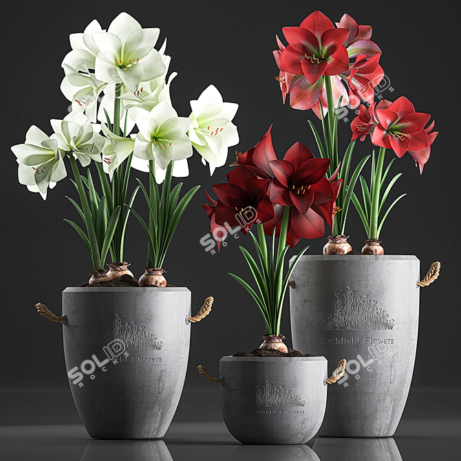 Tropical Plant Collection: Exotic Blooms for Indoors and Outdoors 3D model image 1