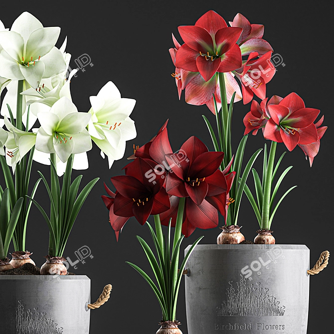 Tropical Plant Collection: Exotic Blooms for Indoors and Outdoors 3D model image 2