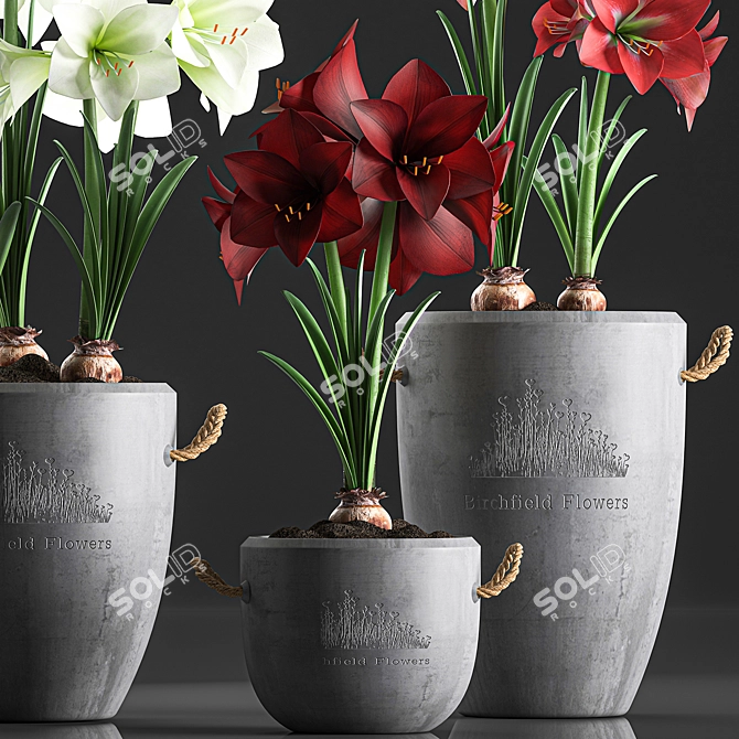 Tropical Plant Collection: Exotic Blooms for Indoors and Outdoors 3D model image 4