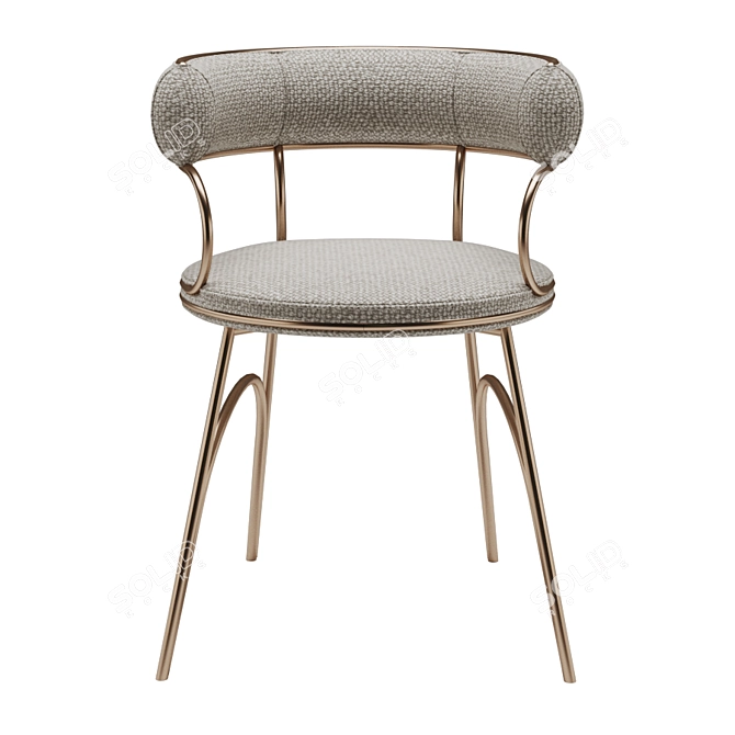 Elegant Austin Dining Chair 3D model image 3