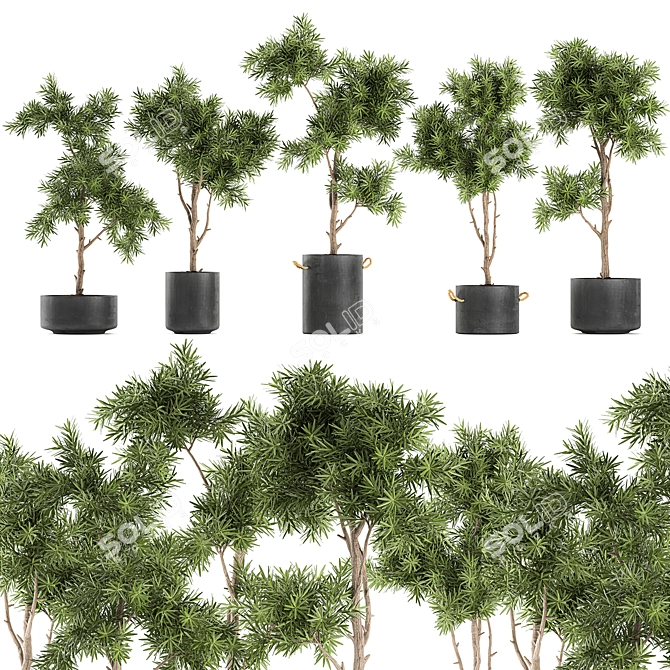 Exotic Plant Collection in Black Vase 3D model image 1