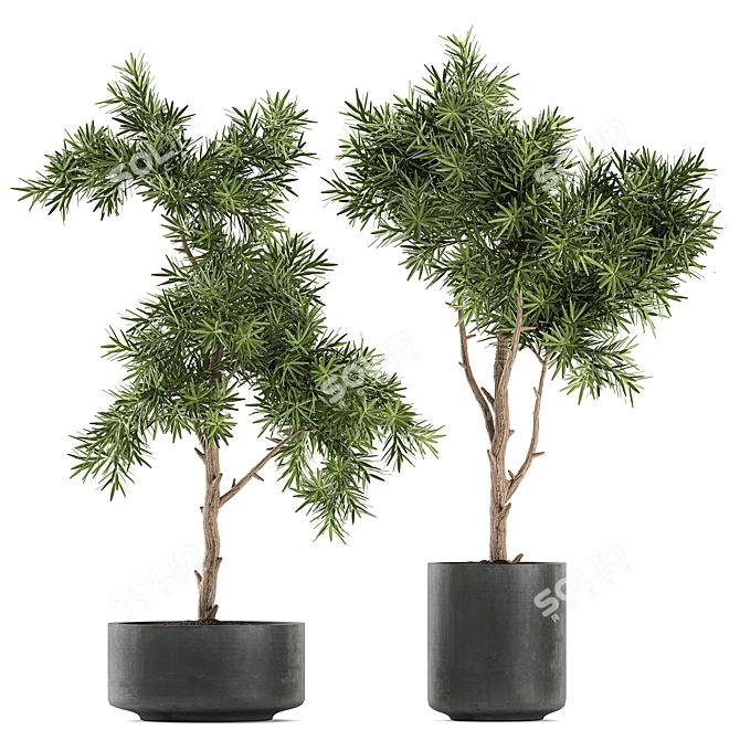 Exotic Plant Collection in Black Vase 3D model image 3