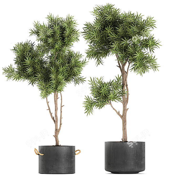 Exotic Plant Collection in Black Vase 3D model image 4