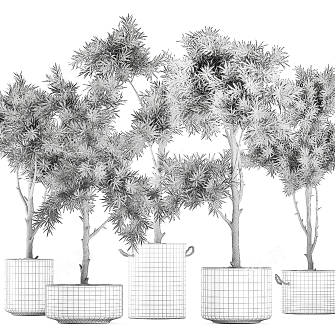 Exotic Plant Collection in Black Vase 3D model image 5