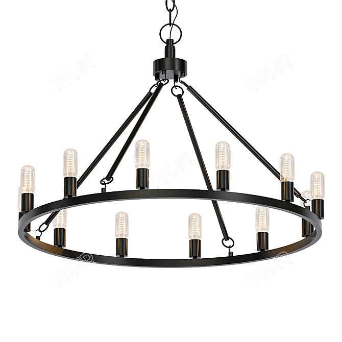 Viviana Black 12-light Metal Chandelier 3D model image 1