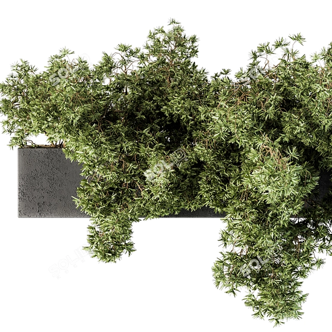  Hanging Garden: Outdoor Plant Set 3D model image 4