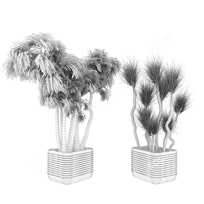 Botanical Bliss: Collection Plant Vol. 9 3D model image 4