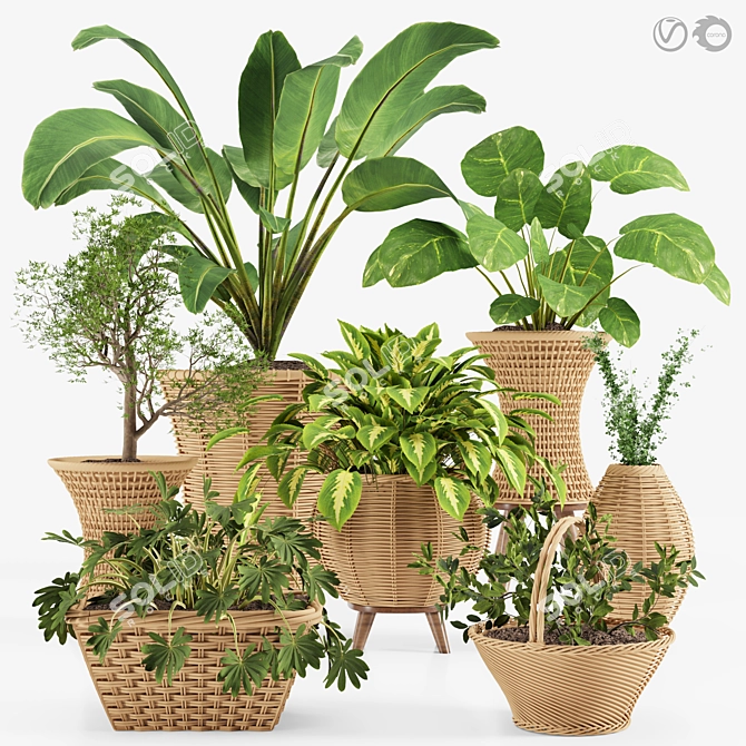 Tropical Plant Collection: Exotic Decor for Interiors 3D model image 1