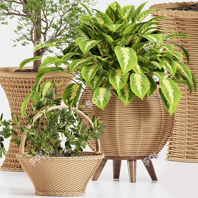 Tropical Plant Collection: Exotic Decor for Interiors 3D model image 2