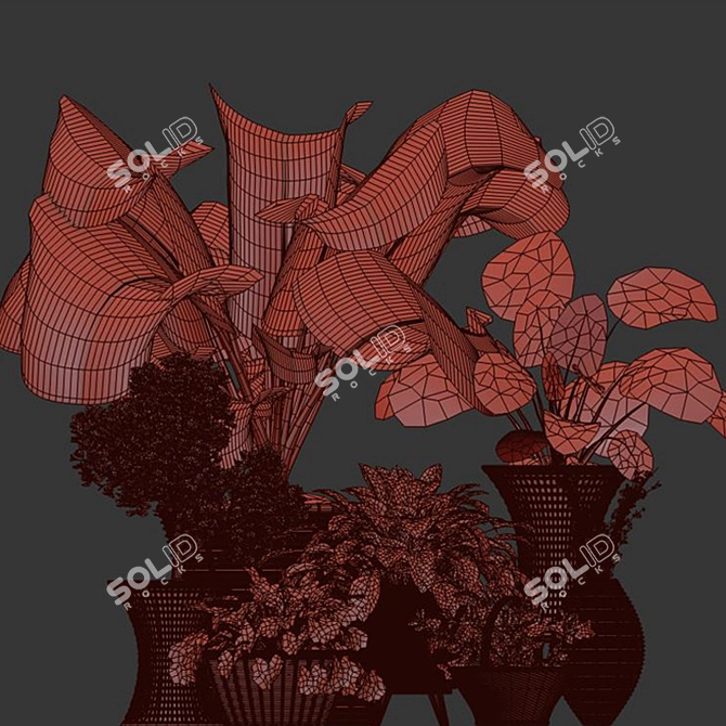 Tropical Plant Collection: Exotic Decor for Interiors 3D model image 4