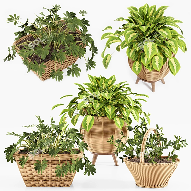 Tropical Plant Collection: Exotic Decor for Interiors 3D model image 5