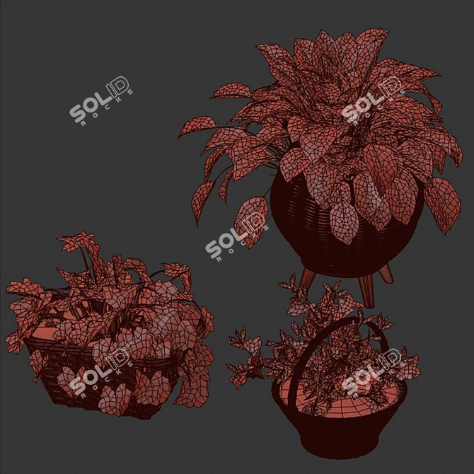 Tropical Plant Collection: Exotic Decor for Interiors 3D model image 6