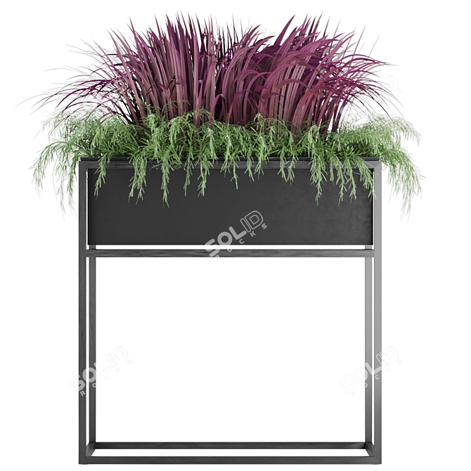 Succulent Sensation: Senecio radicans 3D model image 2