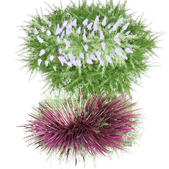 Succulent Sensation: Senecio radicans 3D model image 4