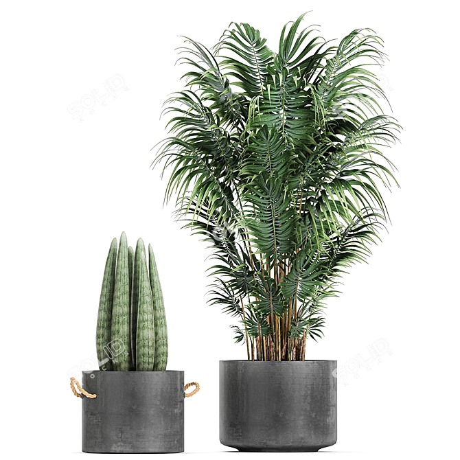 Tropical Plant Collection: Exotic Decor for Indoors & Out 3D model image 4