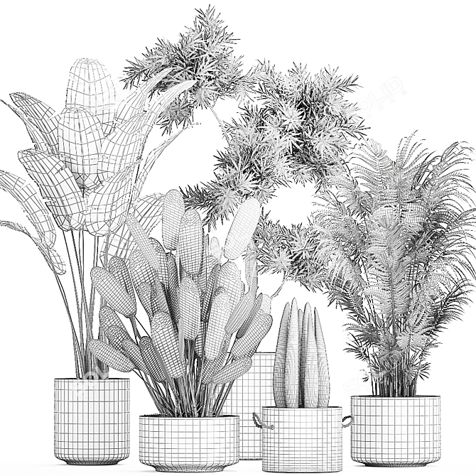 Tropical Plant Collection: Exotic Decor for Indoors & Out 3D model image 5