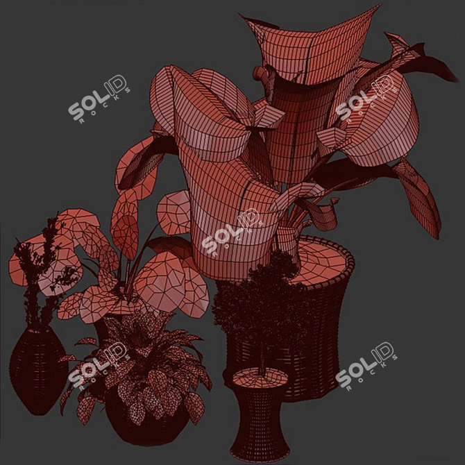 Tropical Indoor Plant Set 3D model image 2