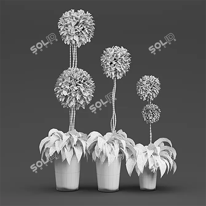 French Plant Collection: Tallest 250cm 3D model image 3