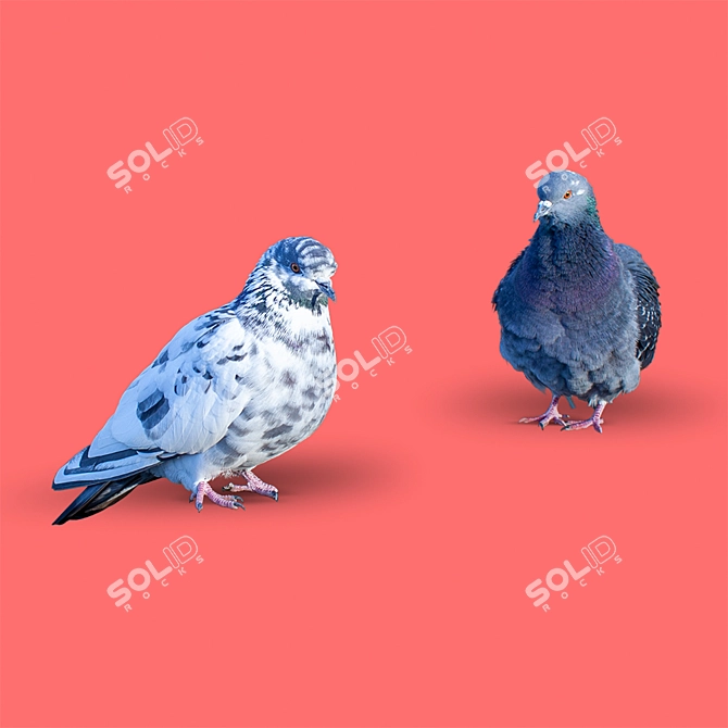 Graceful Pair of Doves 3D model image 2