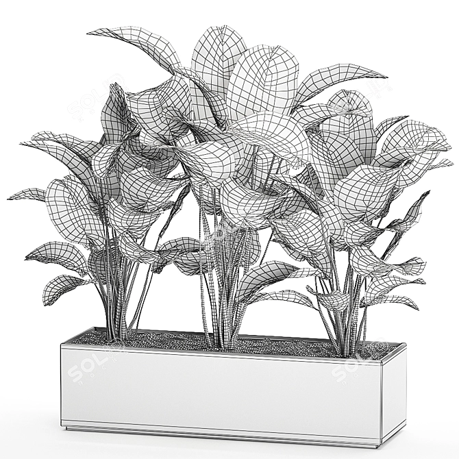 Exotic Plant Collection: Calathea, Ravenala, Strelitzia 3D model image 5