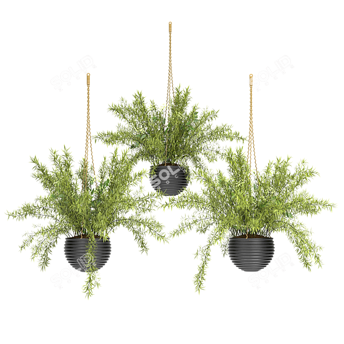 Spring Hanging Basket Plants Set 3D model image 1