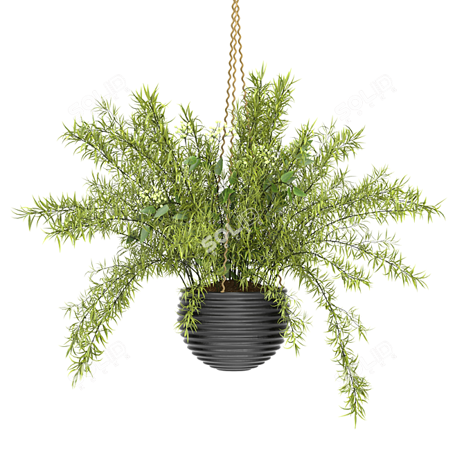 Spring Hanging Basket Plants Set 3D model image 3