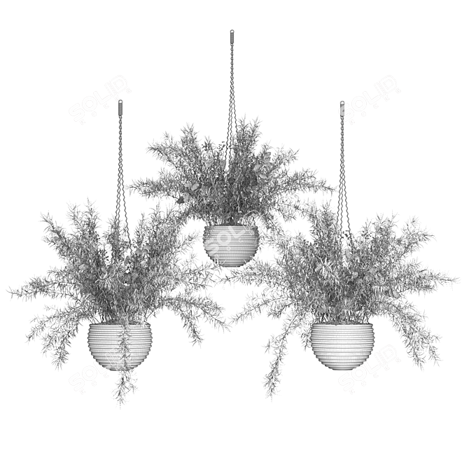 Spring Hanging Basket Plants Set 3D model image 4