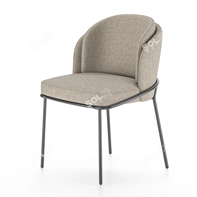 Elegant Fil Noir Chair 3D model image 1