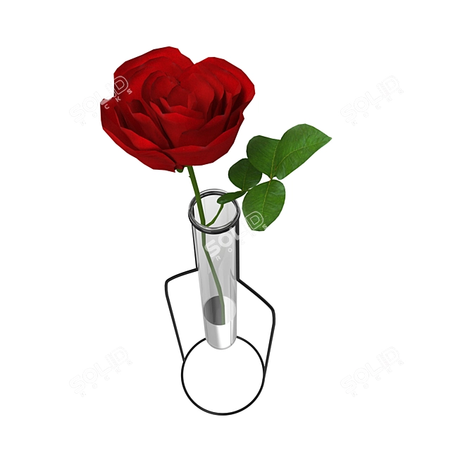 Elegant Rose Bottle Vase 3D model image 2
