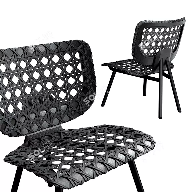 Elegant Aerial Lounge Chair 3D model image 1