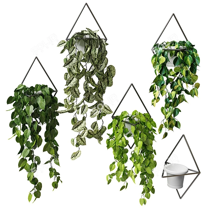 Hanging Greenery: Wall-Mounted Pots 3D model image 1