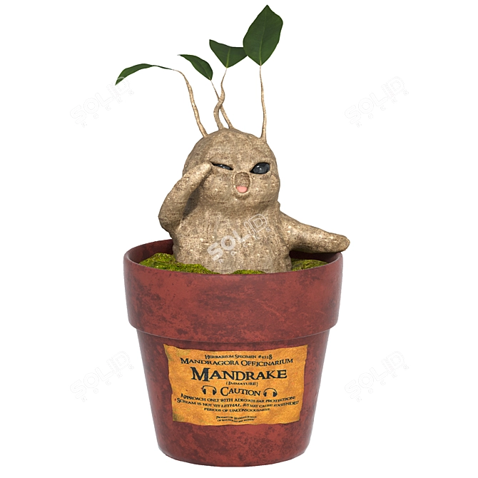 Magical Mandrake Root: Authentic Harry Potter Collectible 3D model image 1