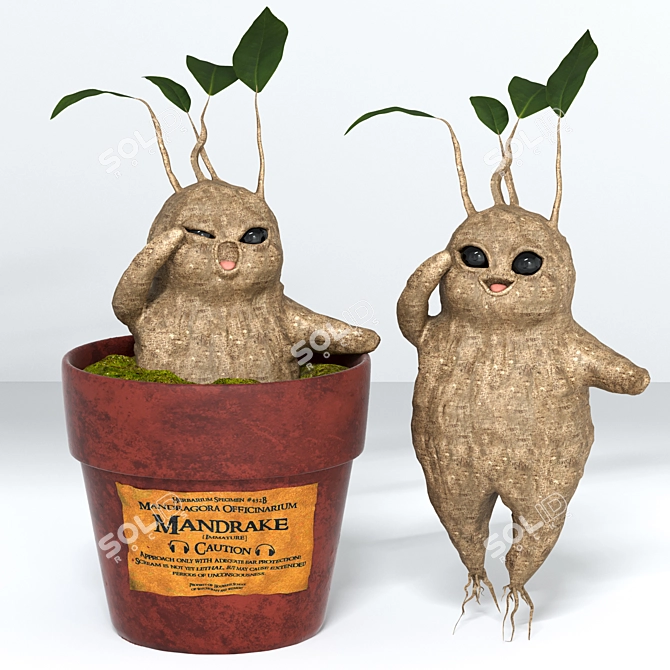 Magical Mandrake Root: Authentic Harry Potter Collectible 3D model image 2