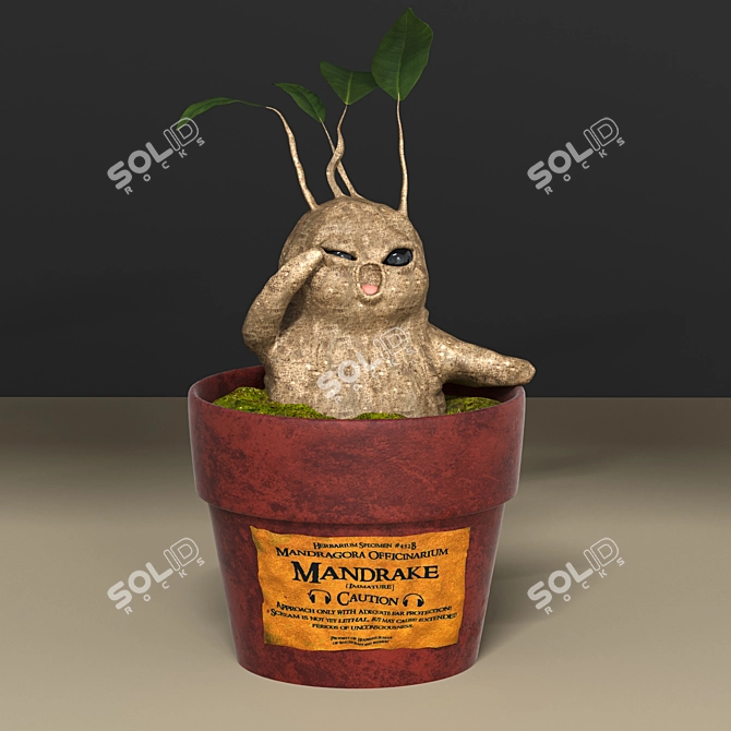 Magical Mandrake Root: Authentic Harry Potter Collectible 3D model image 3