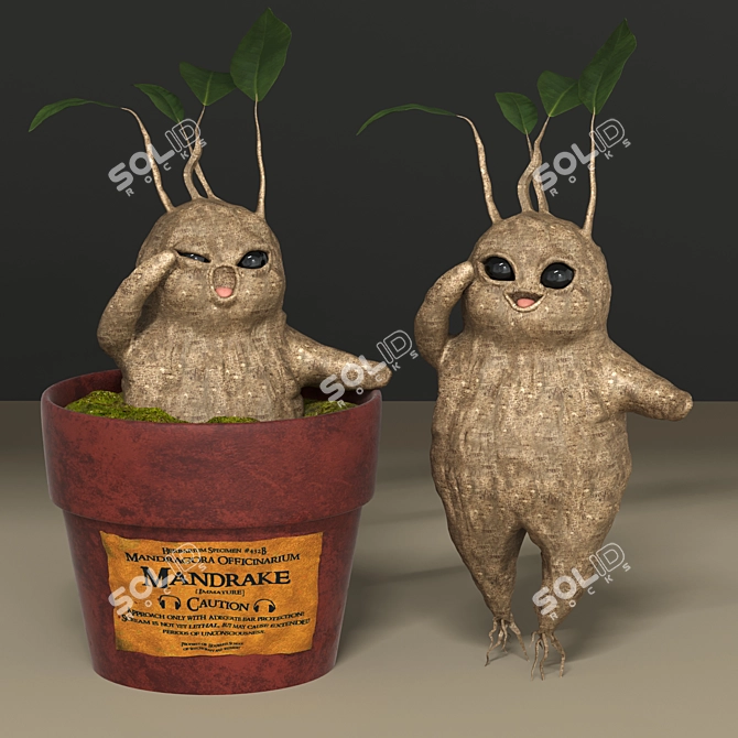 Magical Mandrake Root: Authentic Harry Potter Collectible 3D model image 4